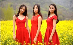 桃花视频免费观看直播下载